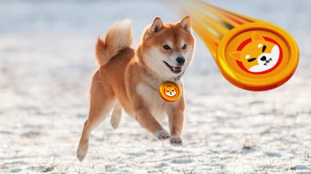 What is the burn rate of Shiba Inu? 