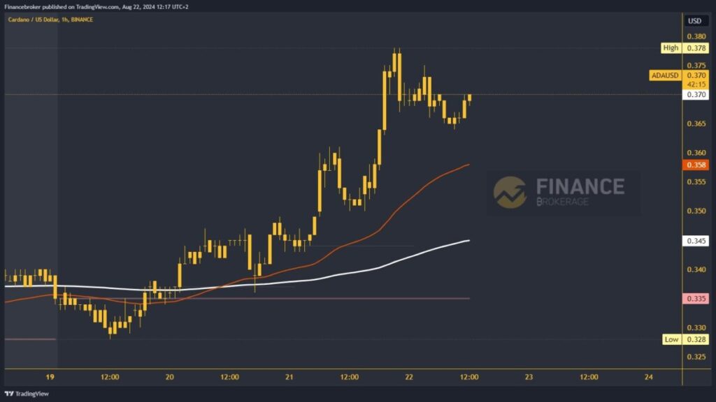 Cardano chart analysis